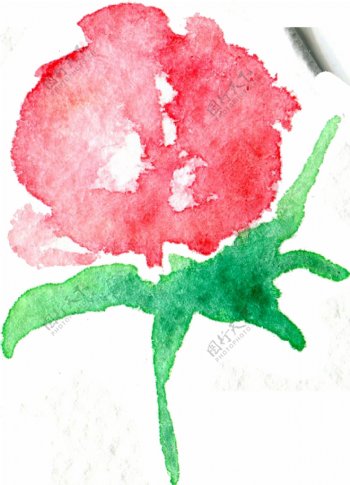 粉红玫瑰卡通透明素材