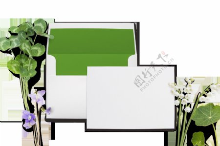 绿色叶子和白板png元素素材