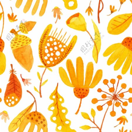 秋天植物卡通透明素材