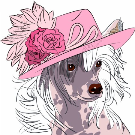 趣味戴帽子的可爱小狗插画