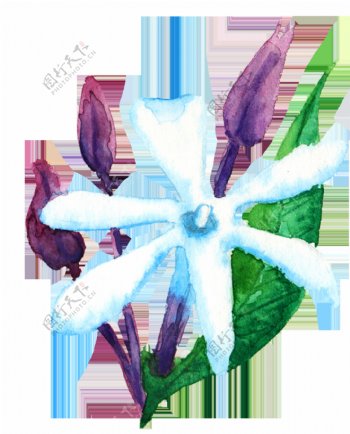 水蓝花瓣卡通透明素材