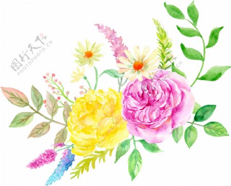 美丽多彩花卉卡通透明素材
