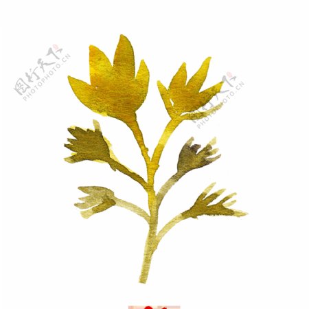 黄色阴影植物卡通透明素材