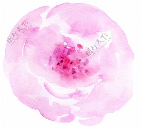 粉心玫瑰卡通透明素材