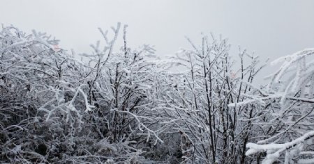 西岭雪山