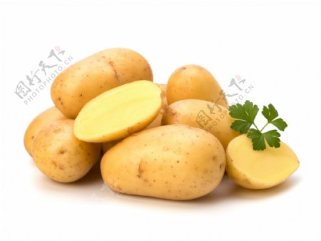 新鲜的土豆