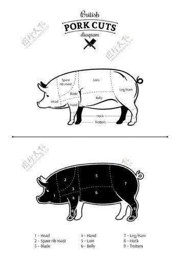黑白手绘家禽猪插画