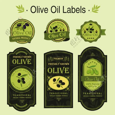 橄榄油包装图标