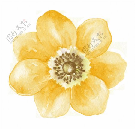 黄色清新花朵透明装饰素材