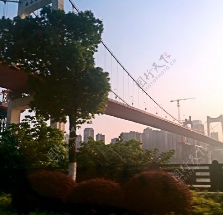 重庆市南岸区桥