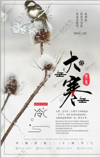 中国风简洁大寒节气海报