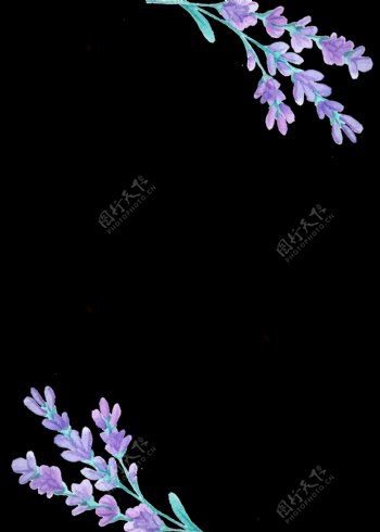 紫罗兰优雅花卉透明装饰素材