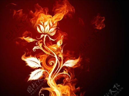 植物花朵火焰特效