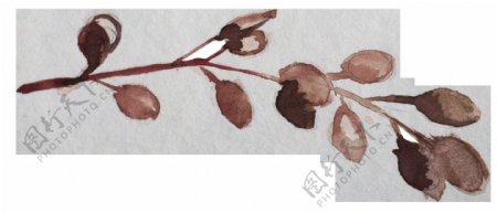 手绘一枝棕色花枝装饰素材