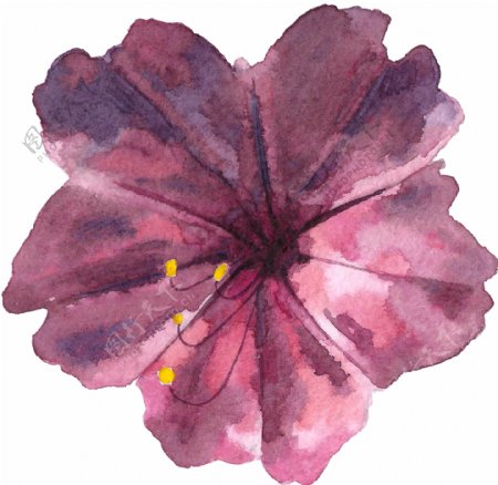 手绘复古水彩花PNG透明素材