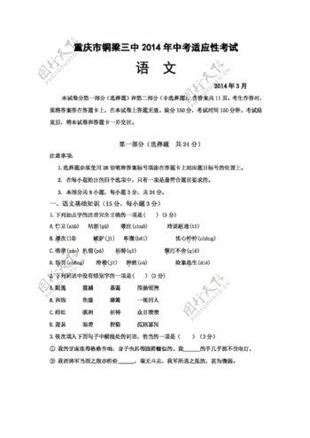 语文苏教版中考适应性考试九年级语文2