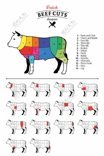 牛的部位分割图