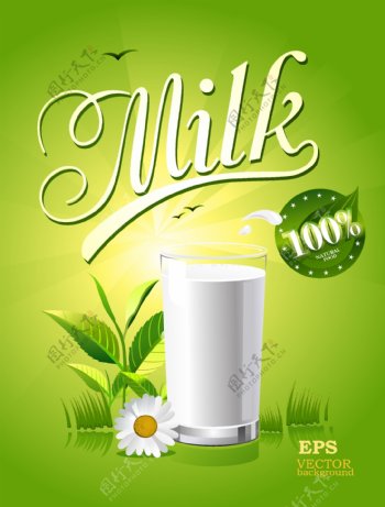 清新美味的牛奶插画