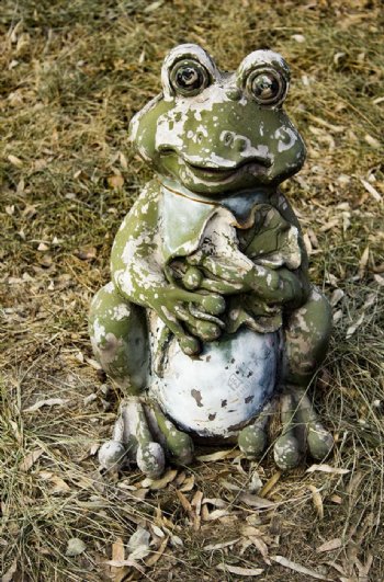 抱荷叶的青蛙