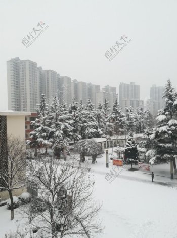 冬季校园雪景