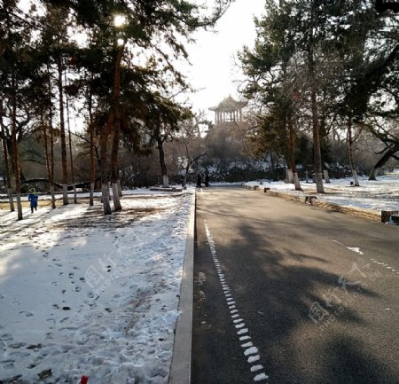 龙沙公园冬天