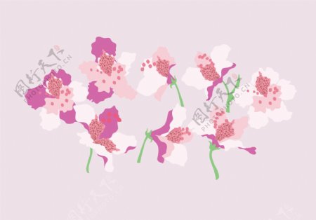 手绘矢量粉色花卉花朵