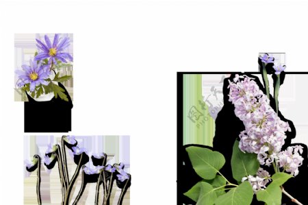 创意花卉图画透明装饰素材