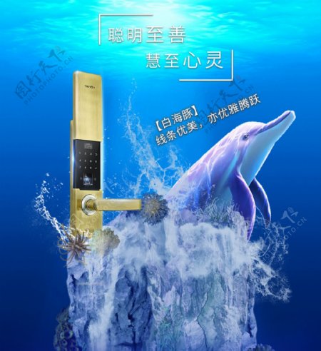 海豚智能门锁宣传海报展板