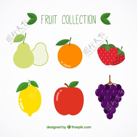 6款彩色水果设计矢量图