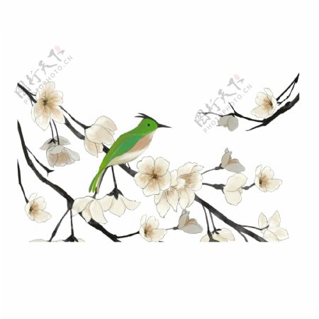 白色花枝绿色小鸟卡通元素