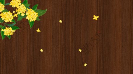 黄色飘香桂花棕色木板背景