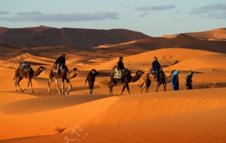 骆驼黄昏人物摄影沙漠
