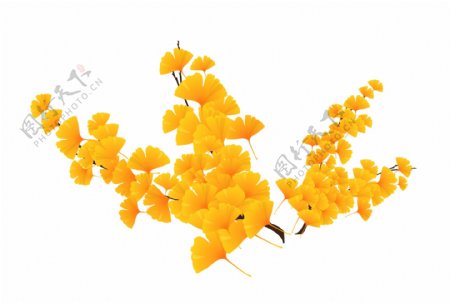 黄色秋天植物装饰素材