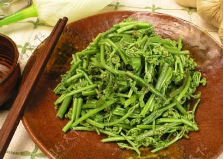 山野菜