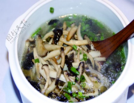 蘑菇菌汤