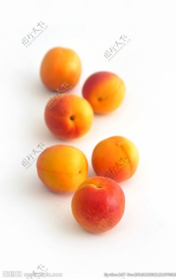 新疆蜜杏蜜杏杏水果金杏