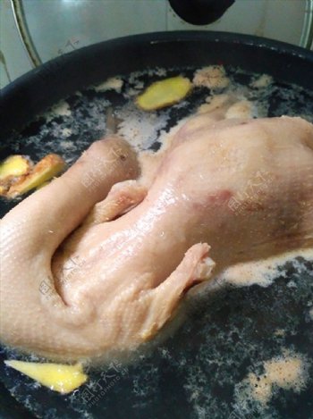 煮鸭子