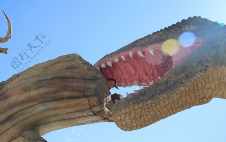 恐龙恐龙化石魔鬼城恐龙超