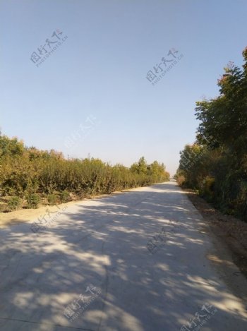 乡村道路风景