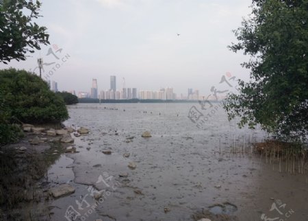 海边大海岩石樵石天空