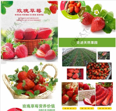 玫瑰草莓淘宝详情页设计