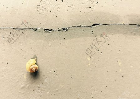 小蜗牛爬墙