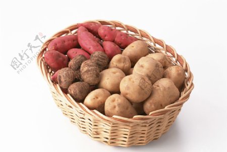 红薯和土豆