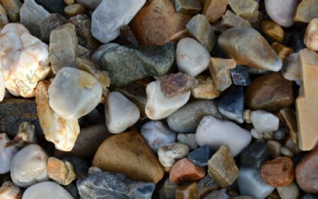 海岸旅行石头鹅软石