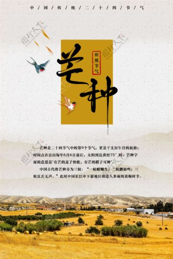 芒种中国传统节气海报
