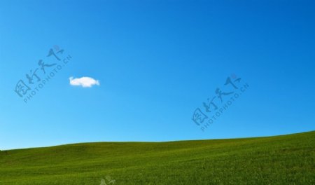 蓝天下的草原风景