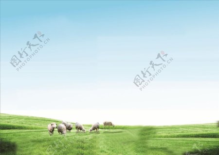 天空草原牛羊
