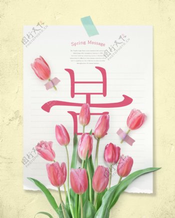 韩式春季郁金香海报模板设计