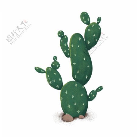 绿色手绘植物仙人掌插画素材