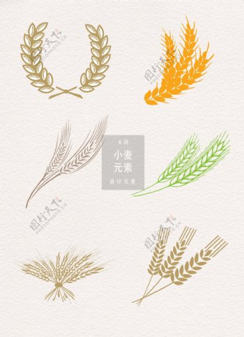 小麦设计装饰图案
